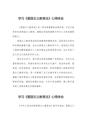 爱国主义教育法学习感悟12篇.docx