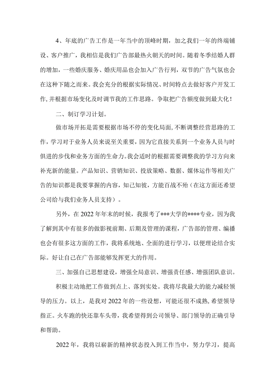 业务员个人工作总结1000字.docx_第2页