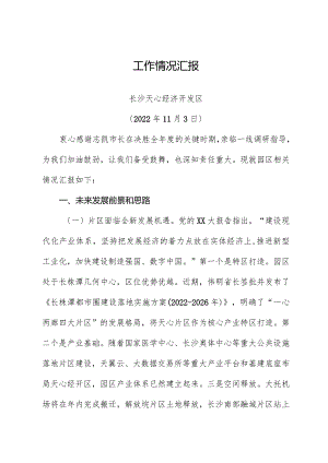 市长调研总体汇报材料.docx