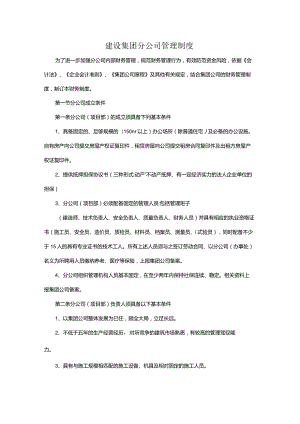 建设集团分公司管理制度.docx