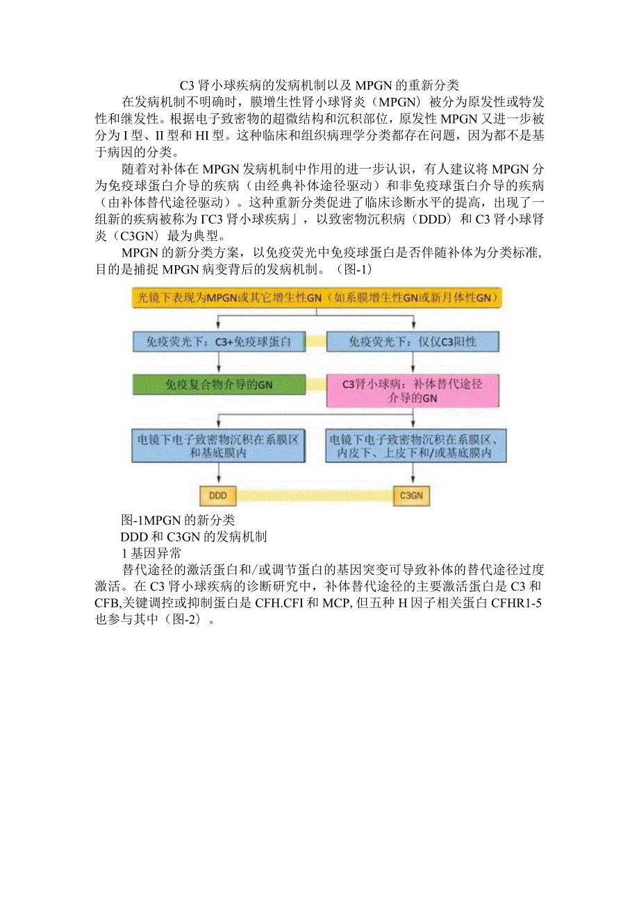 C3 肾小球疾病的发病机制以及 MPGN 的重新分类.docx_第1页