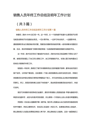 销售人员年终工作总结及明年工作计划.docx