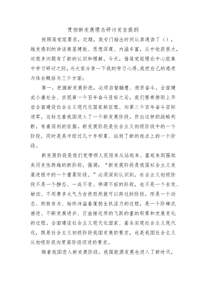 贯彻新发展理念研讨发言提纲.docx