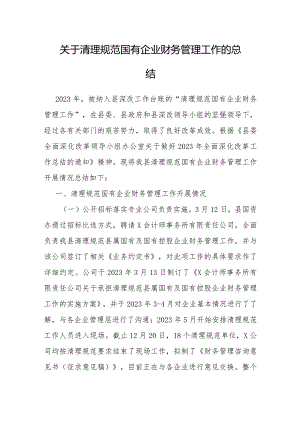 清理规范国有企业财务管理工作总结.docx