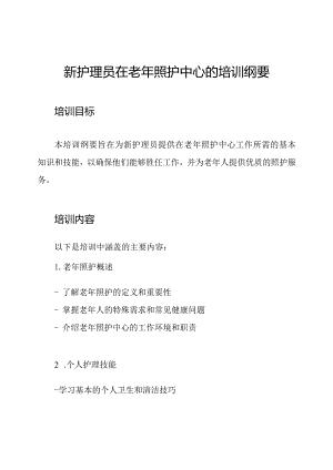 新护理员在老年照护中心的培训纲要.docx