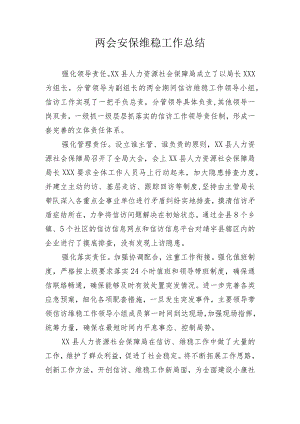 两会安保维稳工作总结.docx