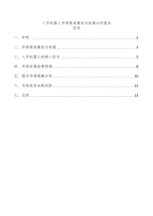 人形机器人市场渠道建设与拓展分析报告.docx