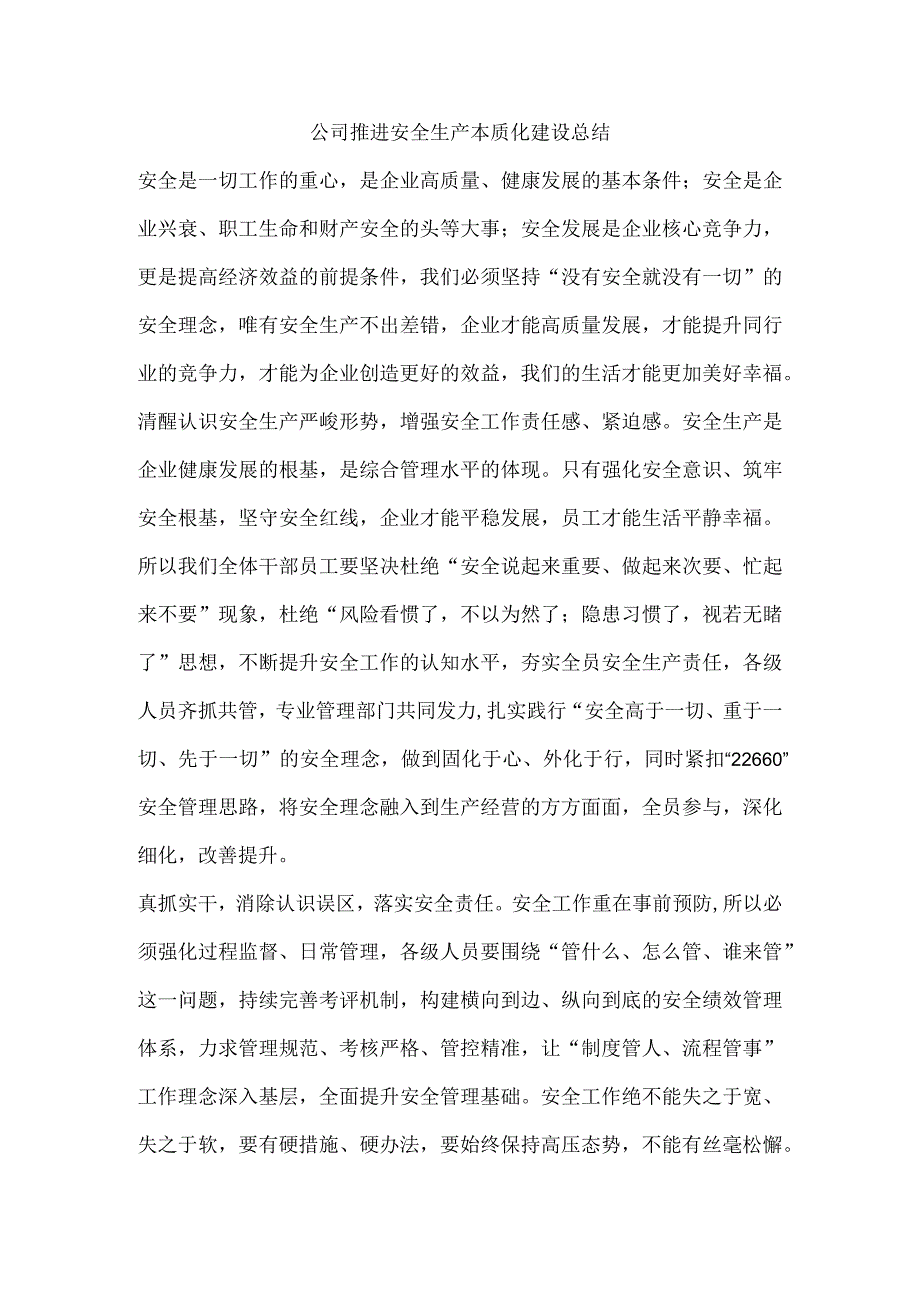 公司推进安全生产本质化建设总结.docx_第1页