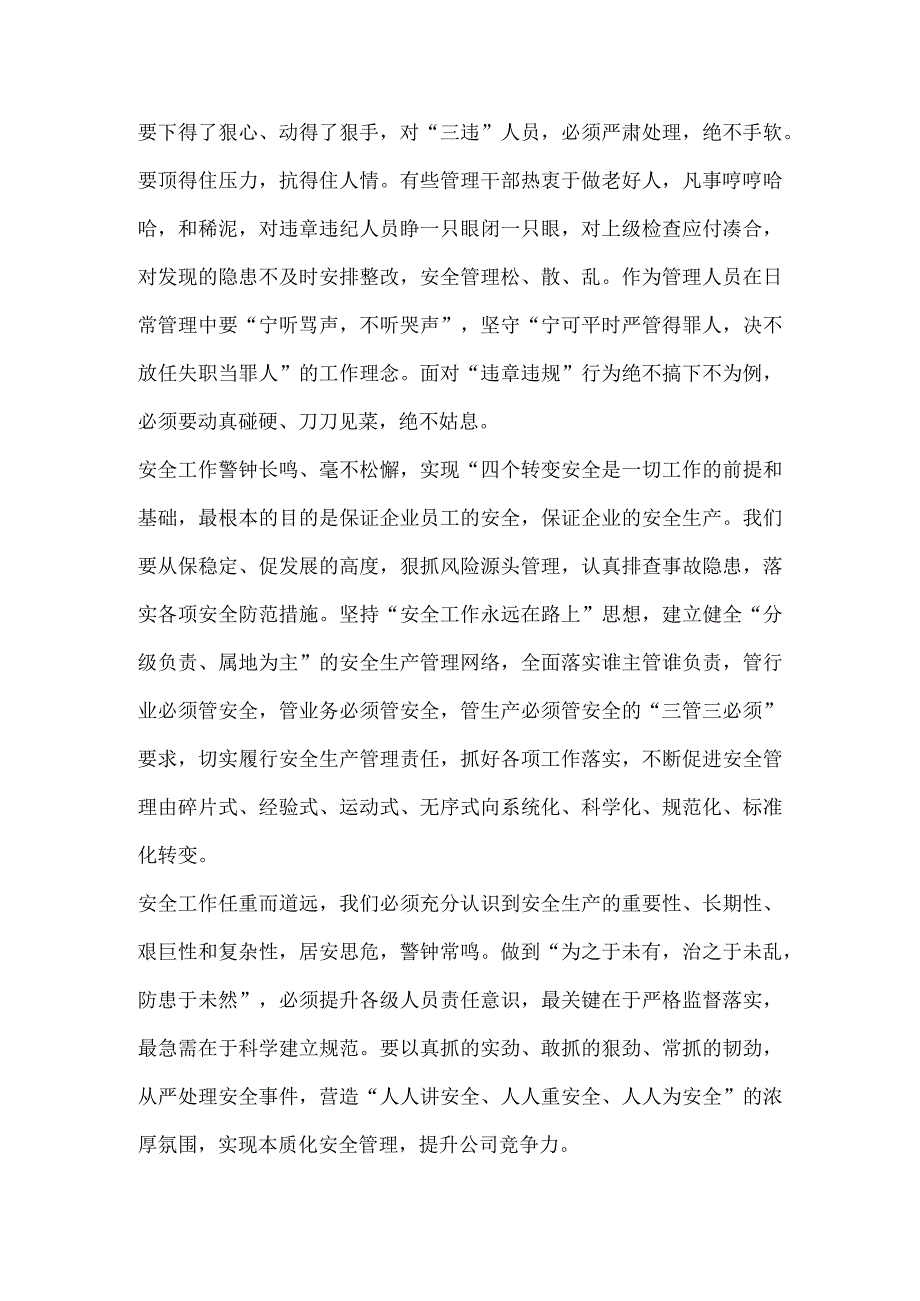 公司推进安全生产本质化建设总结.docx_第2页