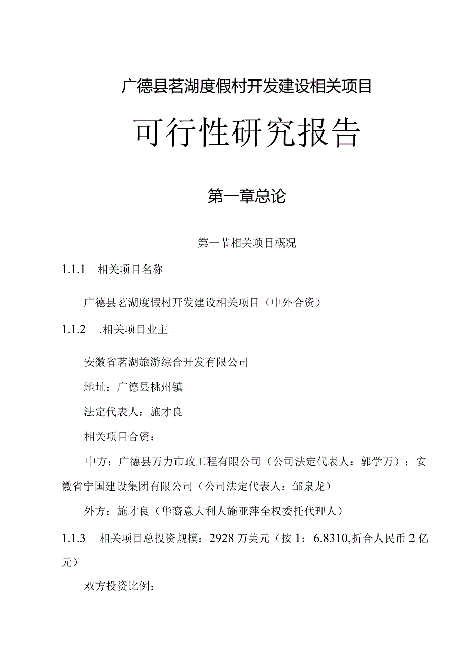 某县茗湖度假村开发建设项目可行性研究报告.docx_第1页