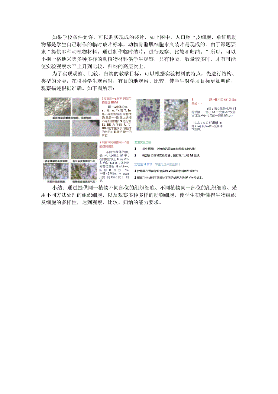 初中科学：带你克服困难实施课标实验.docx_第3页