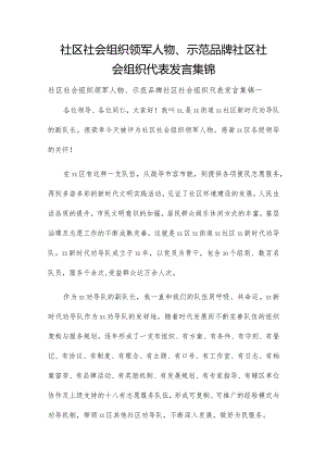 社区社会组织领军人物、示范品牌社区社会组织代表发言集锦.docx