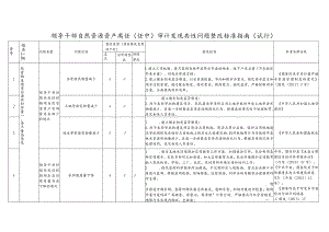 领导干部自然资源资产离任（任中）审计发现共性问题整改标准指南.docx