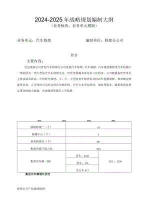 2024-2025年战略规划编制大纲-最终.docx