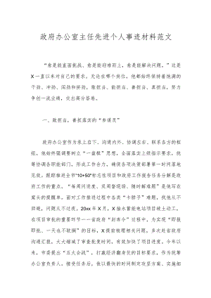 政府办公室主任先进个人事迹材料范文.docx