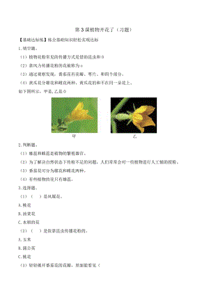 第3课 植物开花了（分层练习）三年级科学下册（苏教版）.docx