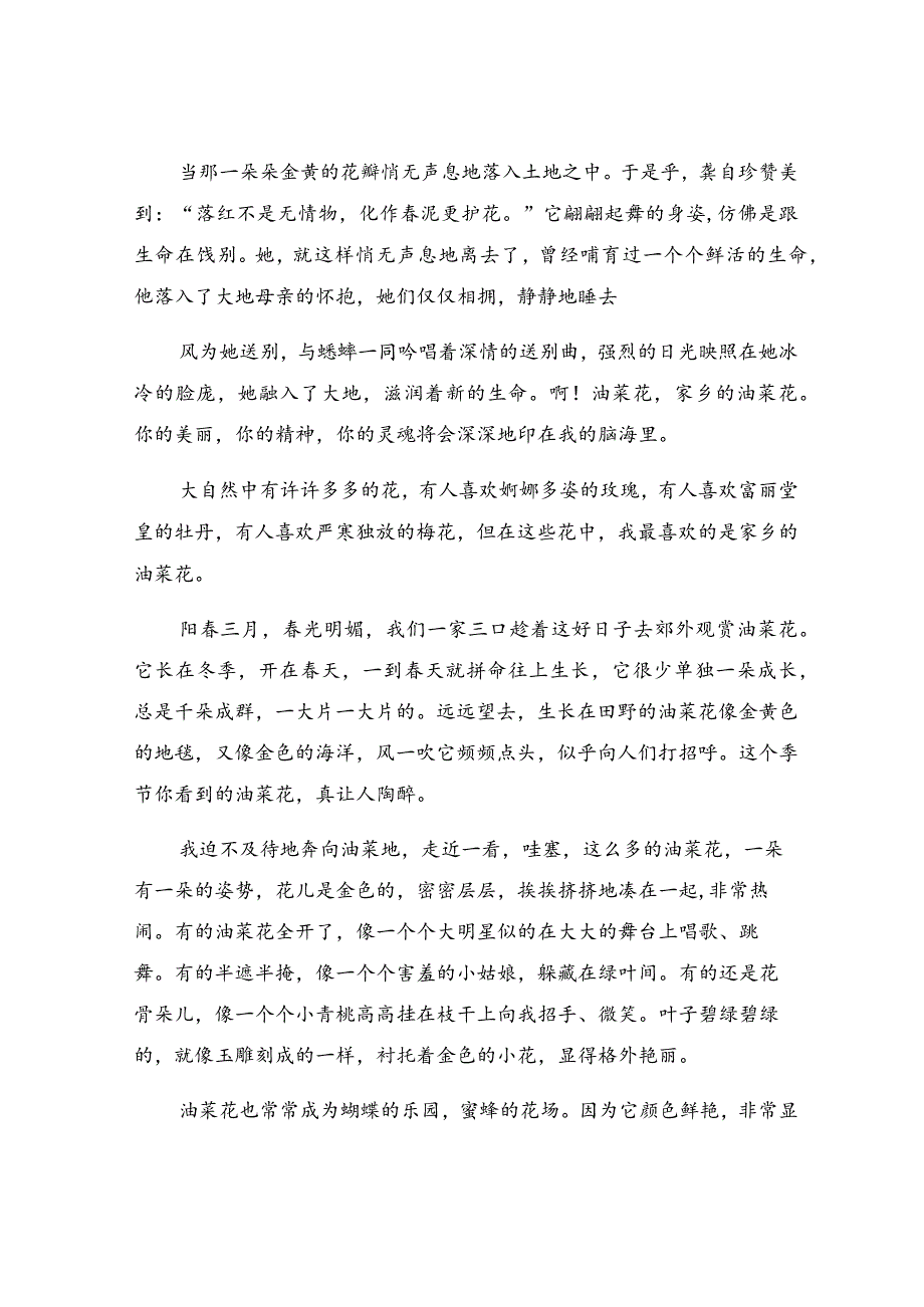 家乡油菜花小学作文（通用36篇）.docx_第2页