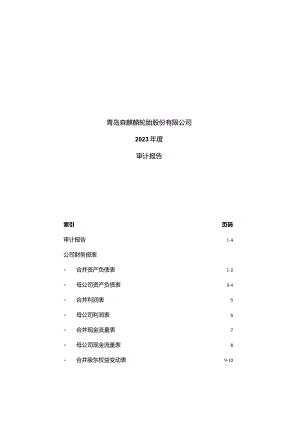 森麒麟：2023年年度审计报告.docx