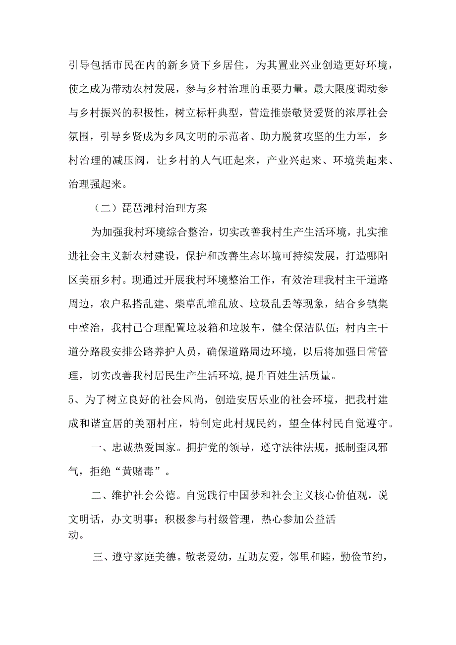 琵琶滩村振兴规划资料.docx_第2页