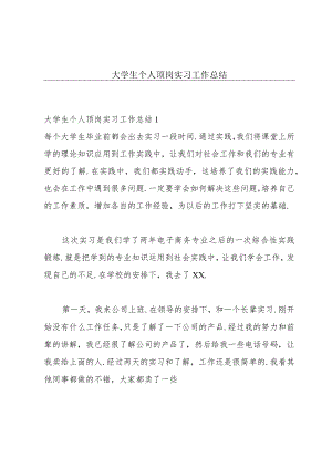 大学生个人顶岗实习工作总结.docx