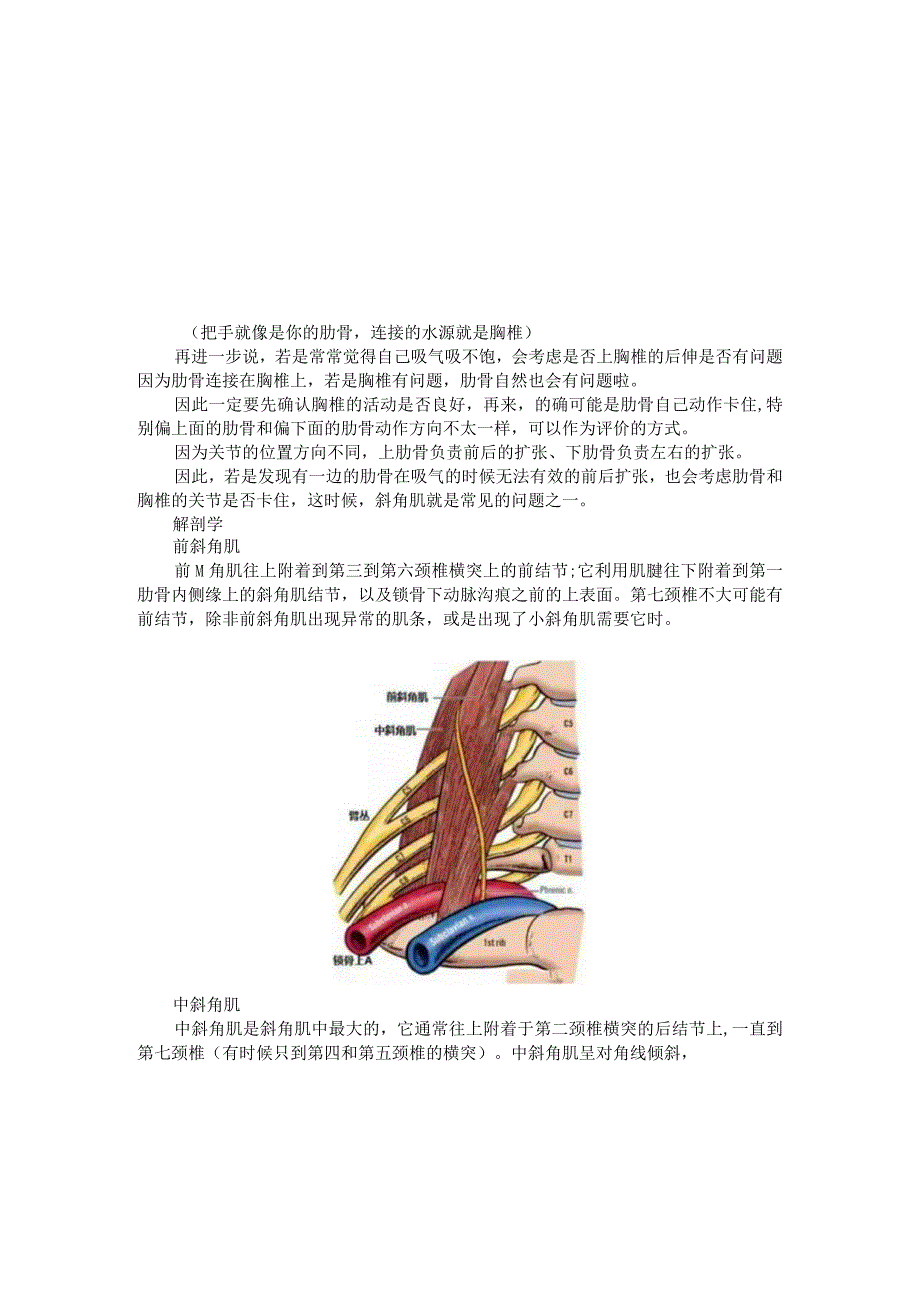 (课件)斜角肌功能详解.docx_第3页