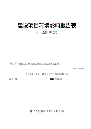 凯润（东方）天然气冷热电三联供分布式能源项目（修编） 环评报告.docx