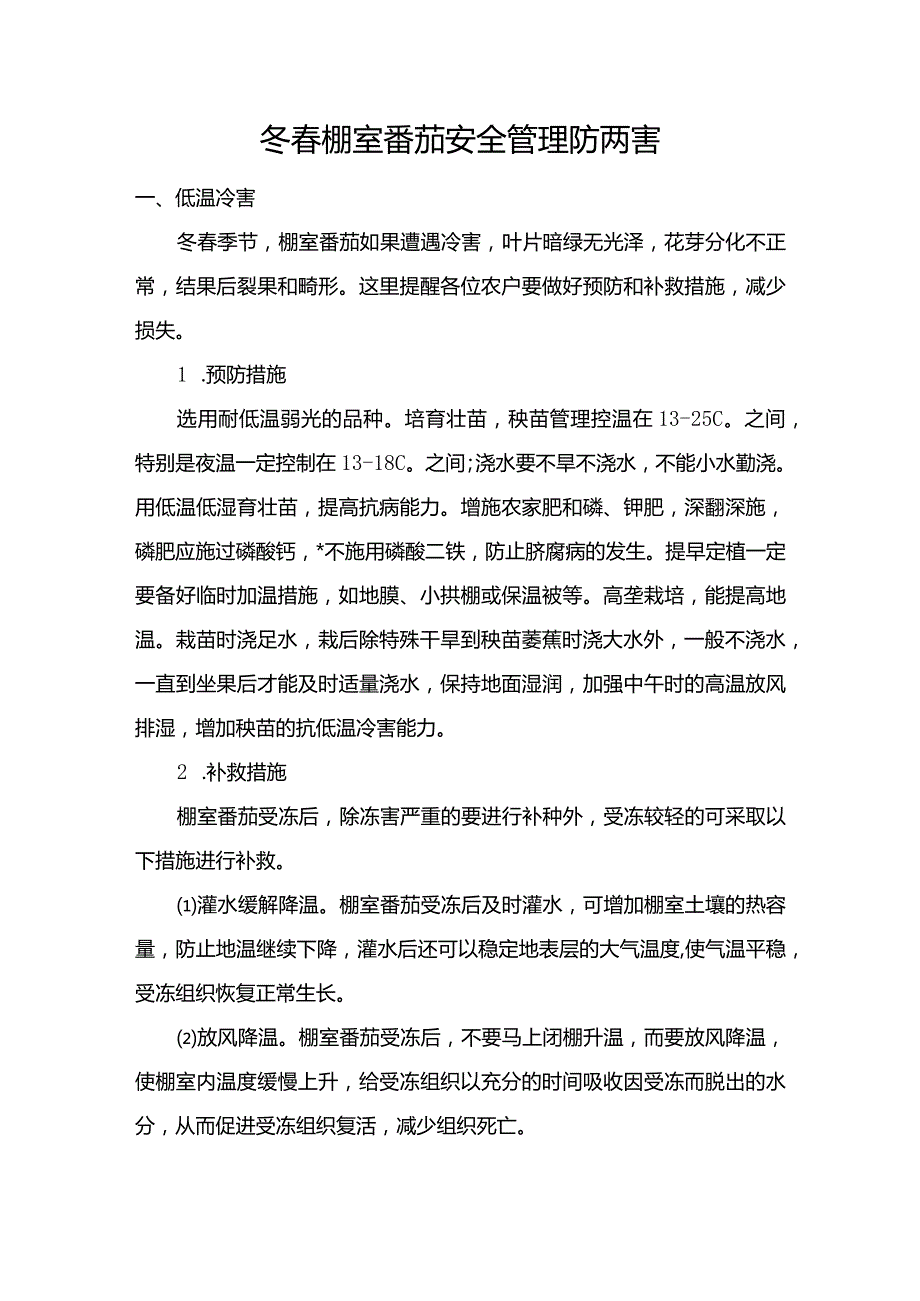 冬春棚室番茄安全管理防两害.docx_第1页