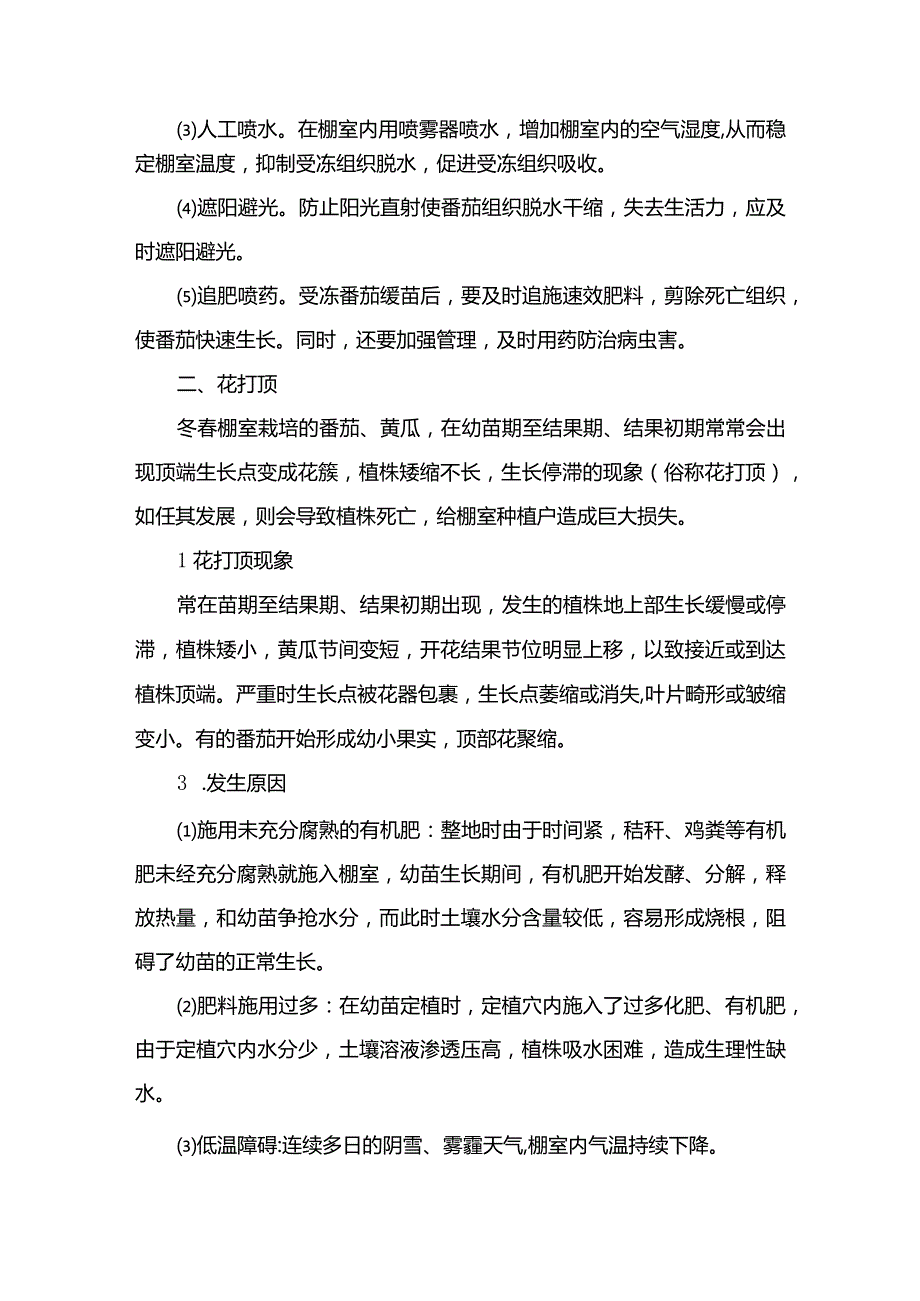 冬春棚室番茄安全管理防两害.docx_第2页