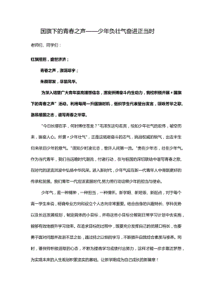 少年负壮气 奋进正当时+发言稿 国旗下的讲话.docx