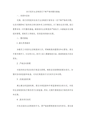 执行组织生活制度还不够严格整改措施.docx