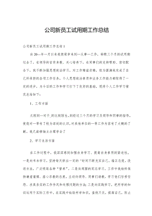 公司新员工试用期工作总结.docx