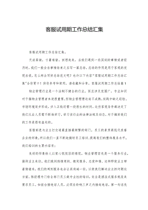 客服试用期工作总结汇集.docx