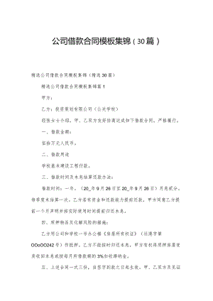 公司借款合同模板集锦（30篇）.docx