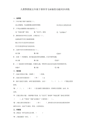 人教鄂教版五年级下册科学3.9脑的功能同步训练.docx