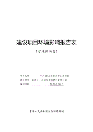 年产10万立方米仿石砖项目环评可研资料环境影响.docx