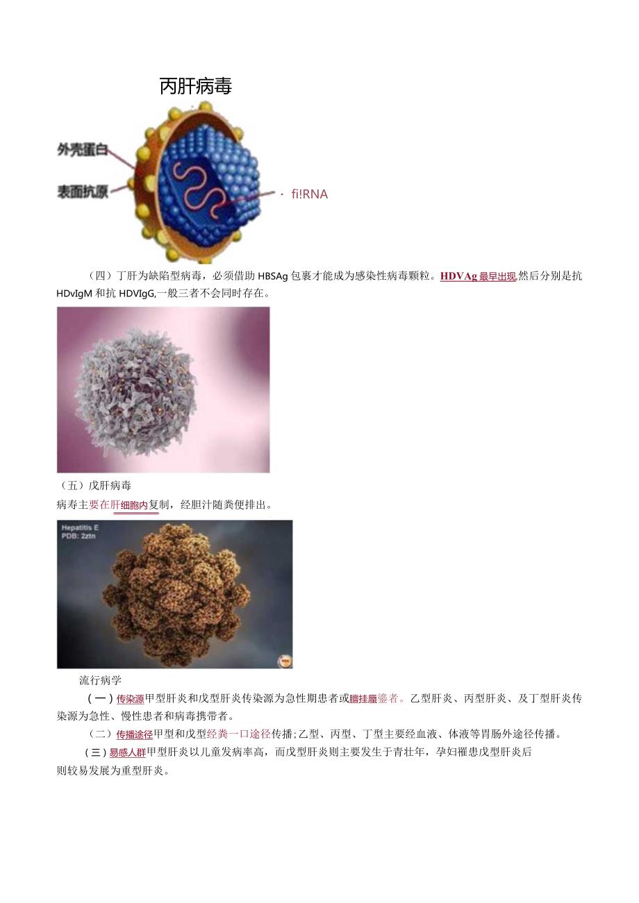 心血管内科主治医师资格笔试相关专业知识考点解析 (9)：传染病学.docx_第3页