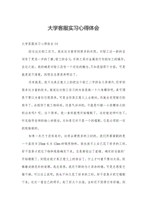 大学客服实习心得体会.docx