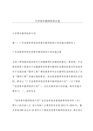 大学青年教师培养计划.docx