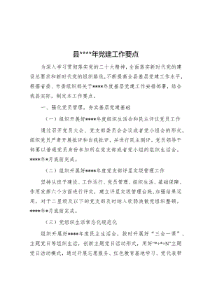 县2023年党建工作要点【 】.docx