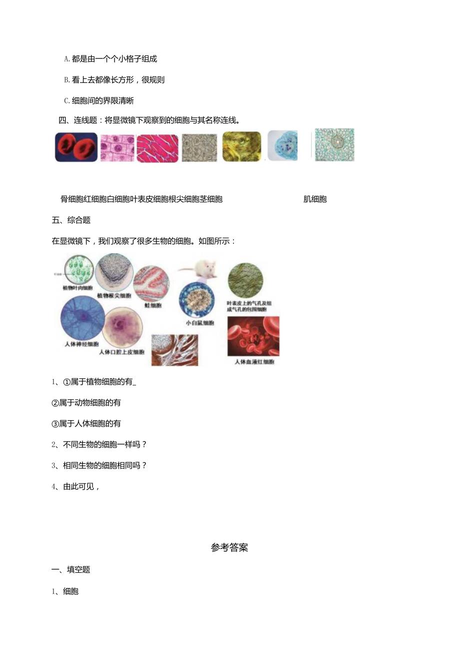 科学苏教版五年级下册全册课后练习含答案.docx_第3页