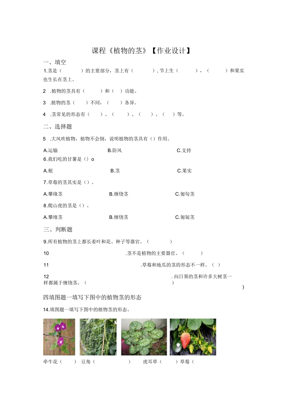 粤教版科学三年级下册13植物的茎练习.docx_第1页