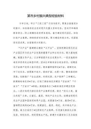 经验做法：乡村振兴典型案例.docx