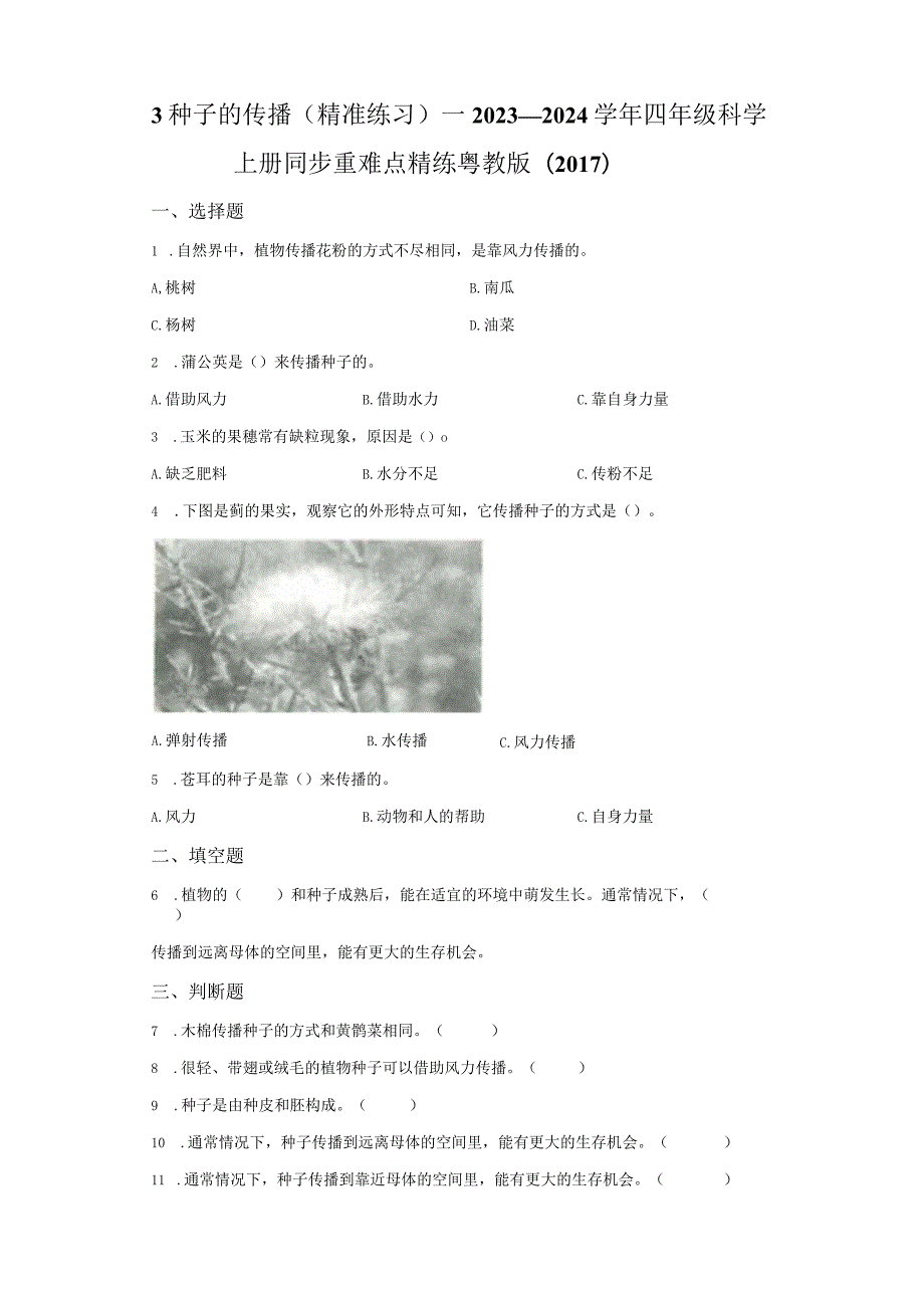 粤教版科学四年级上册3种子的传播练习.docx_第1页