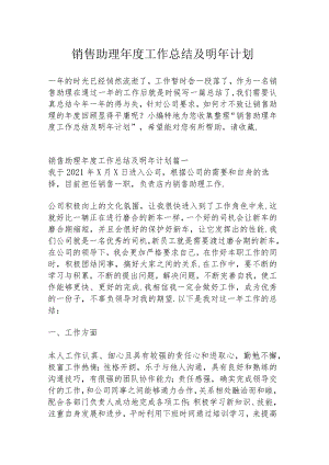 销售助理年度工作总结及明年计划.docx