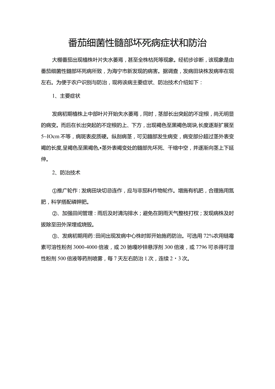 番茄细菌性髓部坏死病症状和防治.docx_第1页