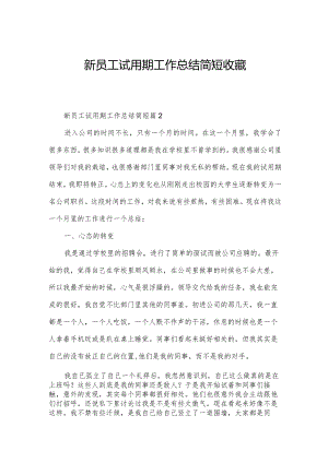 新员工试用期工作总结简短收藏.docx