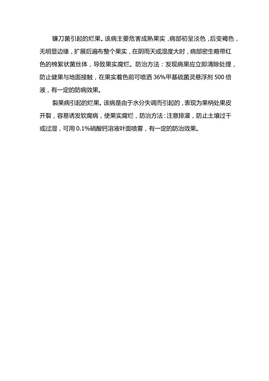 番茄烂果为哪般？.docx_第2页