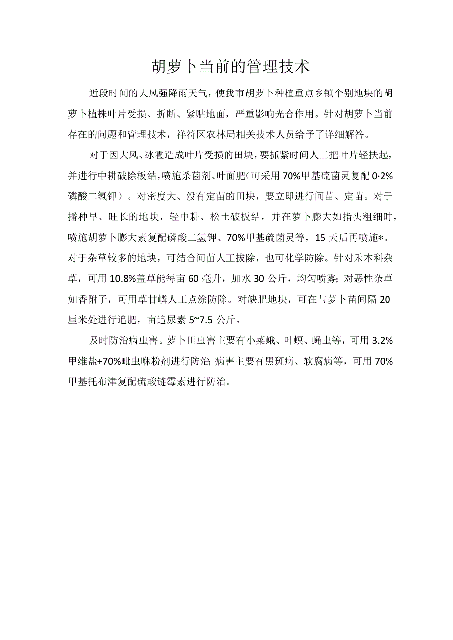 胡萝卜当前的管理技术.docx_第1页