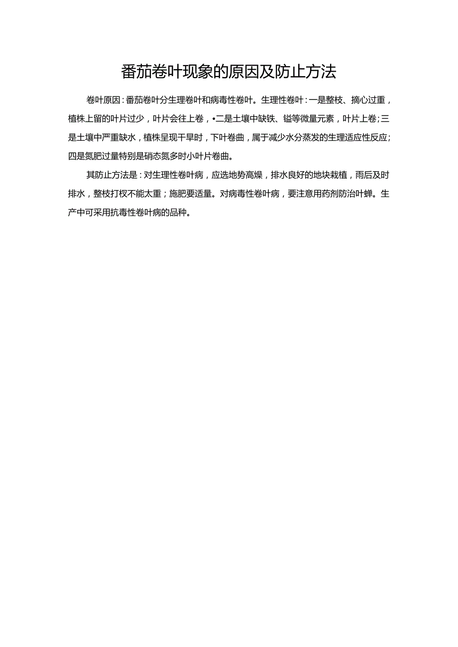 番茄卷叶现象的原因及防止方法.docx_第1页