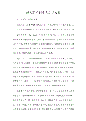 新入职培训个人总结6篇.docx